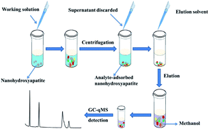 Graphical abstract: An exploratory study to evaluate the potential of nanohydroxyapatite as a powerful sorbent for efficient extraction of volatile organic metabolites, potential biomarkers of cancer