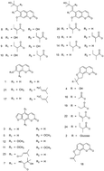 Graphical abstract: Simultaneous analysis of coumarin derivatives in extracts of Radix Angelicae pubescentis (Duhuo) by HPLC-DAD-ESI-MSn technique