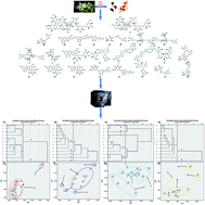 Graphical abstract: Simultaneous determination of twenty-six components of Flos Lonicerae japonicae–Fructus Forsythiae herb couple using UPLC-ESI-MS/MS: application to its preparations