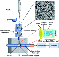 Graphical abstract: Rapid, on-site detection of residual explosives based on a lab-in-a-capillary and UV fiber sensor
