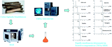 Graphical abstract: A hierarchical cluster analysis of ten index constituents based on microwave-assisted extraction by UHPLC-MS/MS for the evaluation and quality control of Cortex Juglandis Mandshuricae