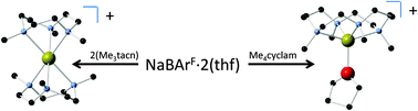 Graphical abstract: Unexpected neutral aza-macrocycle complexes of sodium