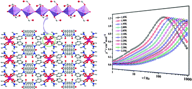 Graphical abstract: An unusual water-bridged homospin CoII single-chain magnet
