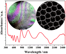 Graphical abstract: Multiple band light trapping in ultraviolet, visible and near infrared regions with TiO2 based photonic materials