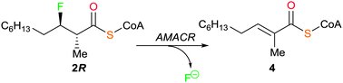 Graphical abstract: The perils of rational design – unexpected irreversible elimination of fluoride from 3-fluoro-2-methylacyl-CoA esters catalysed by α-methylacyl-CoA racemase (AMACR; P504S)