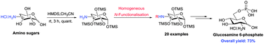 Graphical abstract: Chemoselective per-O-trimethylsilylation and homogeneous N-functionalisation of amino sugars