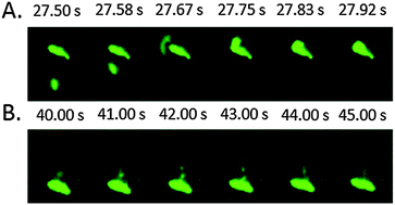 Graphical abstract: Dynamic assembly of DNA and polylysine mediated by electric energy