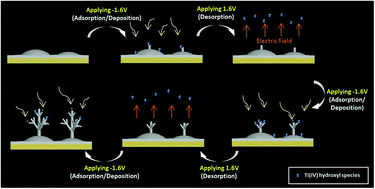 Graphical abstract: Facile electrochemical synthesis of titanium dioxide dendrites and their electrochemical properties