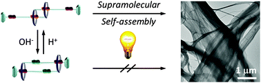 Graphical abstract: pH and light-controlled self-assembly of bistable [c2] daisy chain rotaxanes