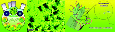 Graphical abstract: Self-assembly and secondary nucleation in ZnO nanostructures derived from a lipophilic precursor