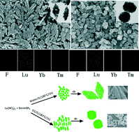Graphical abstract: Up-conversion luminescence properties of lanthanide-doped LuF3 with different morphologies synthesized via a facile ionothermal process