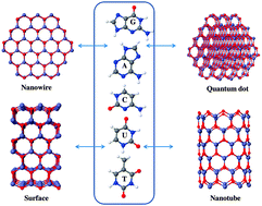Graphical abstract: Understanding the interaction of DNA–RNA nucleobases with different ZnO nanomaterials