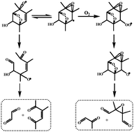 Graphical abstract: The atmospheric oxidation mechanism of 1,2,4-trimethylbenzene initiated by OH radicals