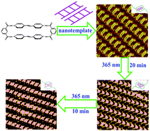 Graphical abstract: Highly efficient photodimerization of olefins in a nanotemplate on HOPG by scanning tunneling microscopy