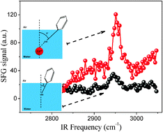 Graphical abstract: Interaction of para-tert-butylcalix[6]arene molecules in Langmuir films with cadmium ions and their effects on molecular conformation and surface potential