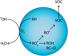 Graphical abstract: Stochastic methods for aerosol chemistry: a compact molecular description of functionalization and fragmentation in the heterogeneous oxidation of squalane aerosol by OH radicals