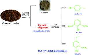 Graphical abstract: Selective conversion of lignin in corncob residue to monophenols with high yield and selectivity