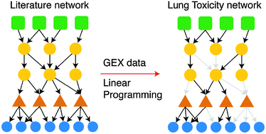 Graphical abstract: Identification of drug-specific pathways based on gene expression data: application to drug induced lung injury