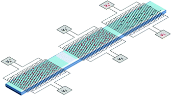 Graphical abstract: Multiplexed actuation using ultra dielectrophoresis for proteomics applications: a comprehensive electrical and electrothermal design methodology