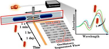 Graphical abstract: Shaken, and stirred: oscillatory segmented flow for controlled size-evolution of colloidal nanomaterials