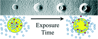 Graphical abstract: Controlling uniformity of photopolymerized microscopic hydrogels