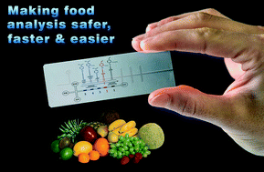 Graphical abstract: Lights and shadows on Food Microfluidics