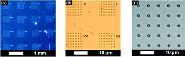 Graphical abstract: Size-selective, biocompatible, manufacturable platform for structuring deformable microsystems