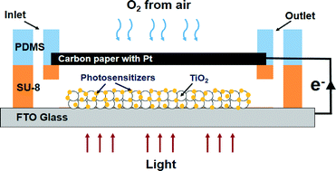 Graphical abstract: Optofluidics based micro-photocatalytic fuel cell for efficient wastewater treatment and electricity generation