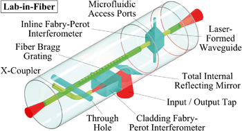 Graphical abstract: Chemical-assisted femtosecond laser writing of lab-in-fibers
