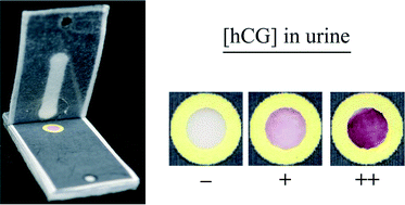 Graphical abstract: A device architecture for three-dimensional, patterned paper immunoassays