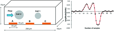 Graphical abstract: Coincidence detection of heterogeneous cell populations from whole blood with coplanar electrodes in a microfluidic impedance cytometer