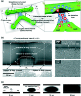 Graphical abstract: An electrokinetic study on tunable 3D nanochannel networks constructed by spatially controlled nanoparticle assembly