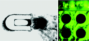 Graphical abstract: Interplay of physical mechanisms and biofilm processes: review of microfluidic methods