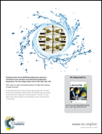Graphical abstract: Inside back cover