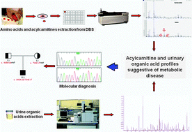 Graphical abstract: Targeted metabolomics in the expanded newborn screening for inborn errors of metabolism