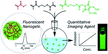 One-pot synthesis of super-bright fluorescent nanogel contrast agents containing a dithiomaleimide fluorophore
