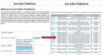 Graphical abstract: An integrative computational model for large-scale identification of metalloproteins in microbial genomes: a focus on iron–sulfur cluster proteins