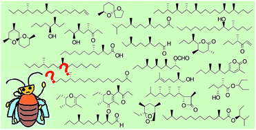 Graphical abstract: Chiral methyl-branched pheromones