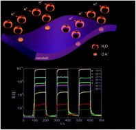 Graphical abstract: High-performance humidity sensors from Ni(SO4)0.3(OH)1.4 nanobelts