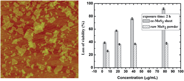 Graphical abstract: Antibacterial activity of two-dimensional MoS2 sheets