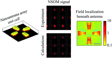 Graphical abstract: Demonstration of unusual nanoantenna array modes through direct reconstruction of the near-field signal