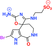 Graphical abstract: Callyspongisines A–D: bromopyrrole alkaloids from an Australian marine sponge, Callyspongia sp.