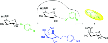 Graphical abstract: Evaluating N-benzylgalactonoamidines as putative transition state analogs for β-galactoside hydrolysis