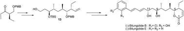 Graphical abstract: A concise approach for the synthesis of bitungolides: total syntheses of (−)-bitungolide B & E