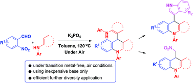 Graphical abstract: Synthesis of 1,4-dihydroquinoline derivatives under transition-metal-free conditions and their diverse applications