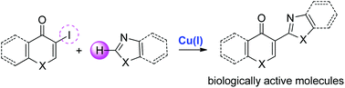 Graphical abstract: A copper-mediated cross-coupling approach for the synthesis of 3-heteroaryl quinolone and related analogues