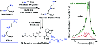 Graphical abstract: Synthesis and evaluation of antineurotoxicity properties of an amyloid-β peptide targeting ligand containing a triamino acid