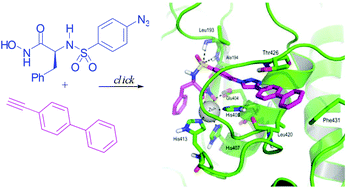 Graphical abstract: Design and synthesis of potent hydroxamate inhibitors with increased selectivity within the gelatinase family