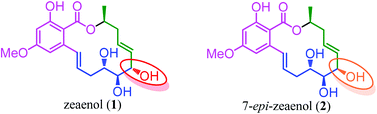 Graphical abstract: The protecting-group directed diastereoselective Nozaki–Hiyama–Kishi (NHK) reaction: total synthesis and biological evaluation of zeaenol, 7-epi-zeaenol and its analogues