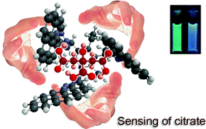 Graphical abstract: Tris(triazole) tripodal receptors as selective probes for citrate anion recognition and multichannel transition and heavy metal cation sensing